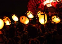 2011.祭