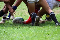 なぜ「トレーニング」なのか