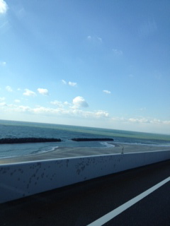 SUS看板