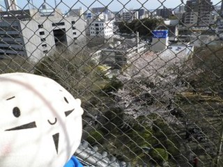【家康くん日記】浜松城展望室からの眺めを紹介するのじゃ！