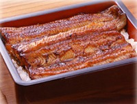 好評開催中です！ 2010/11/18 17:35:41