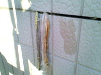 どうする？どうなる？　～第3章～