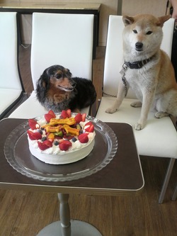 誕生日会♪