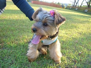 ALOHAちゃん♪