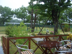 雨♪