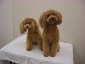 ラブ＆ピースちゃん♪