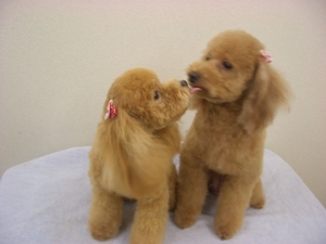 ラブ＆ピースちゃん♪