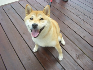 知己ちゃん♪