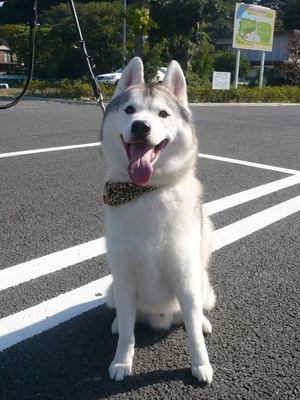 レオ君♪