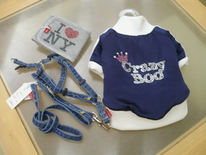 Ｃｒａｚｙ　Ｂｏｏ♪
