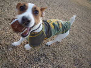 ＣＯＣＯちゃん♪