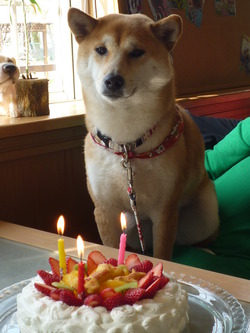 ＨＡＰＰＹ　ＢＩＲＴＨＤＡＹ♪