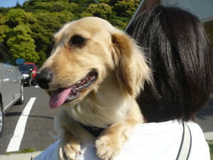 新規会員＆更新♪
