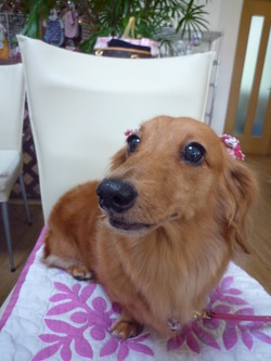 会員更新♪