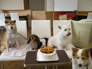 合同誕生日会♪