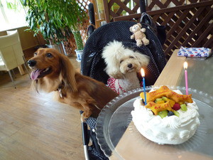 誕生会♪