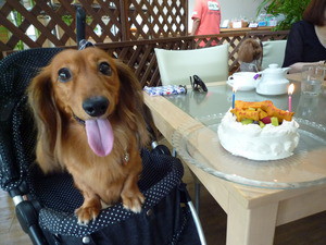 誕生会♪