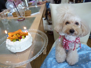 誕生会♪