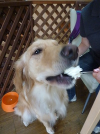 お誕生日♪