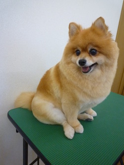 桃尻♪