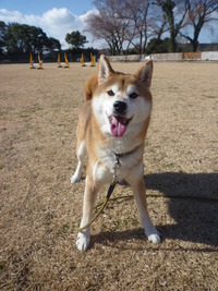 伍壱くん♪