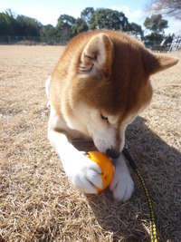 伍壱くん♪