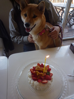 お誕生日♪