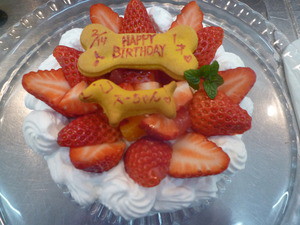 お誕生日♪