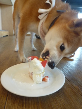 お誕生日♪