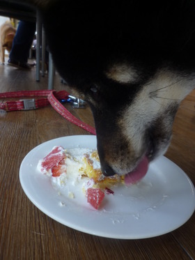 お誕生日♪