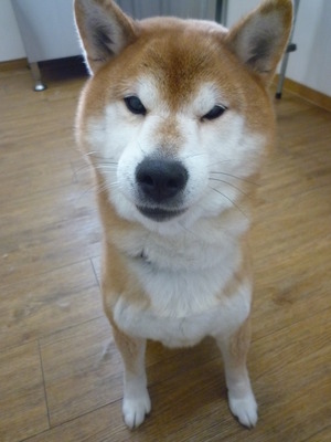伍壱くん♪
