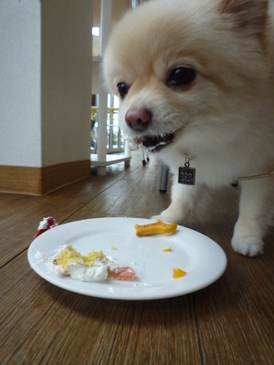 DOLCEくん♪