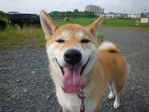 はなこちゃん♪