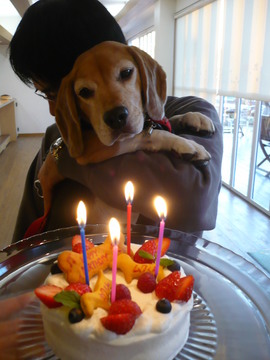 お誕生日♪
