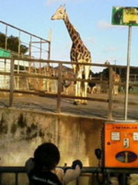 動物園 2007/01/07 18:18:20