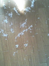 雪の華？(T_T) 2007/12/12 09:16:00