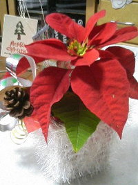 クリスマス 2008/12/18 14:52:09