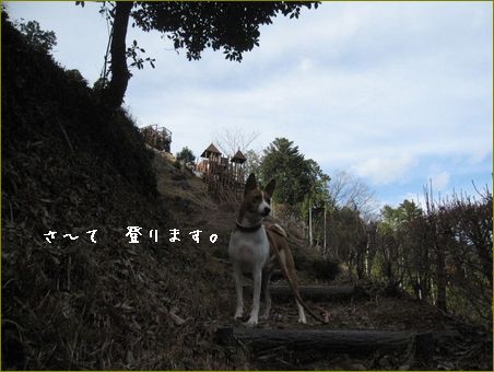 行ってきました。