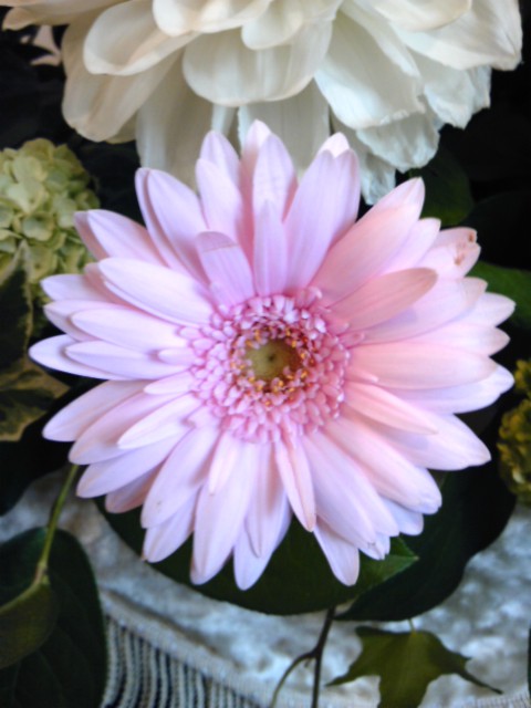 花♪