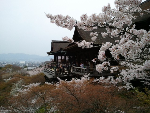 京都から