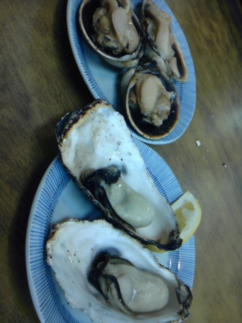 伊良湖岬