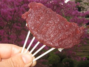 法多山の桜は、満開から散り始め