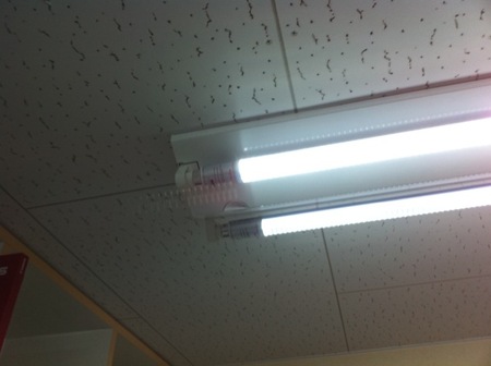 ＬＥＤ