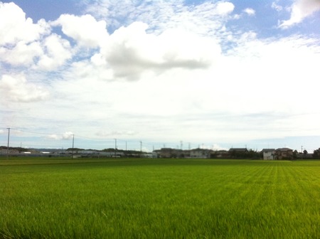 夏