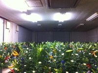 配達 2011/08/10 23:06:02