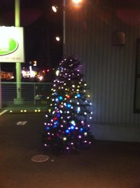 クリスマスツリー 2011/11/27 22:40:04