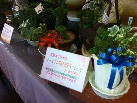 トピアリー　新商品