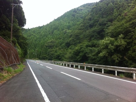 春野
