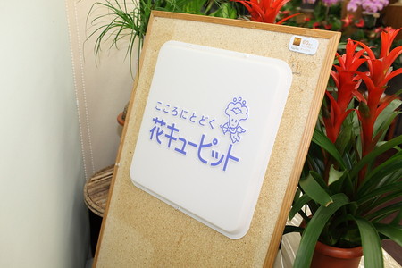 花キューピット