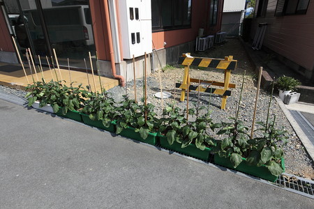 花豊農場